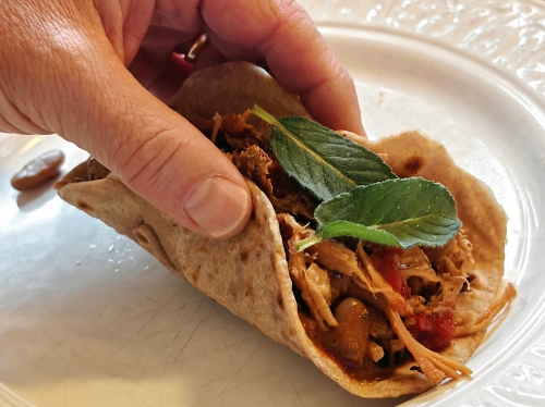 tacos aux 2 coriandre,la cocotte,la voix du nord