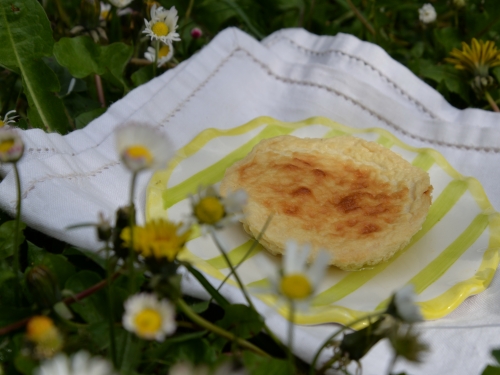 flan d'asperges,la cocotte,la voix du nord