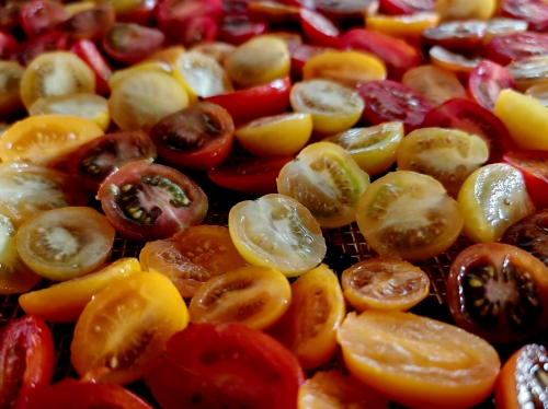tomates-cerises à l’huile,la cocotte,la voix du nord