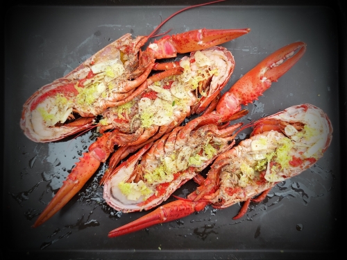 homard grillé,la cocotte,la voix du nord