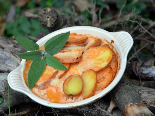 gratin rital,la cocotte,la voix du nord