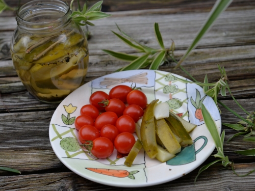 concombres au vinaigre,la cocotte,la voix du nord