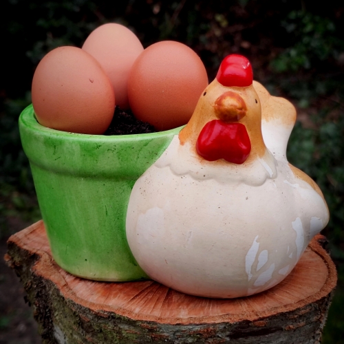 crème de poivrons rouges,la cocotte,la voix du nord