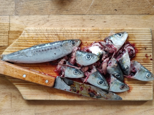 sardines à l’huile et aux piments,la cocotte,la voix du nord