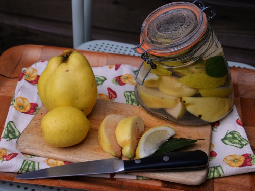 Pickles de coings, la Cocotte, la Voix du nord, Cucina italiana, éditions Larousse