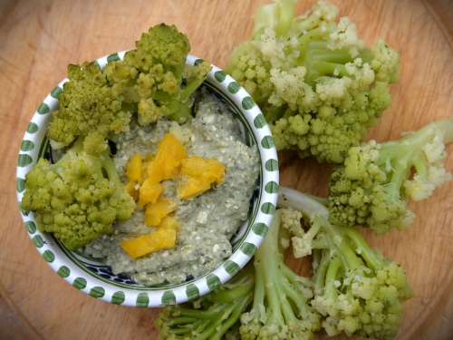 crème de radis au chou romanesco,la cocotte,la voix du nord